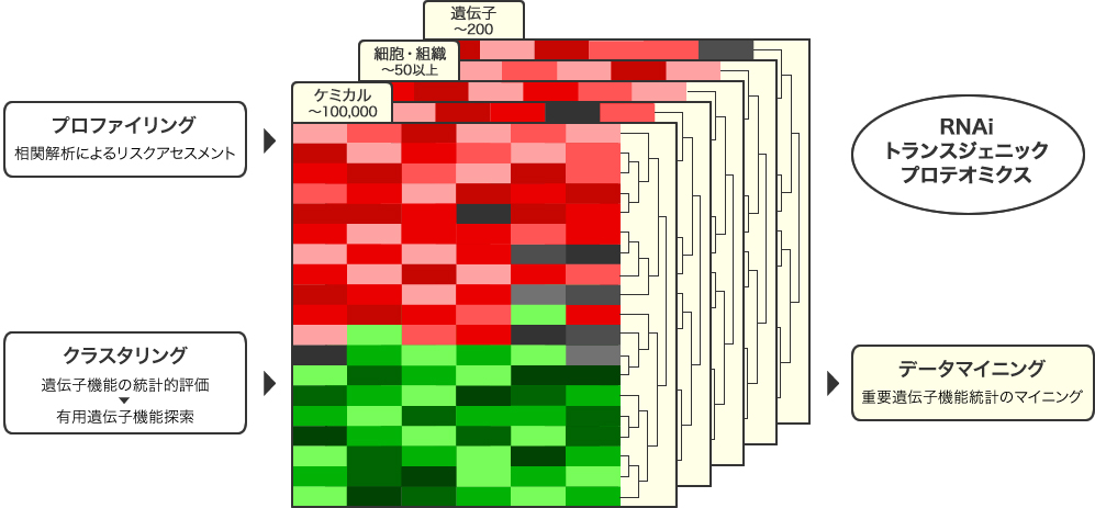 図1 植物の主な代謝産物